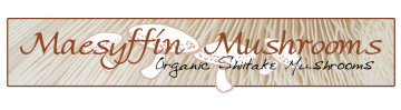 Maesyffin Mushrooms - Organic Mushroom Grower
